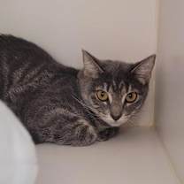 Thumbnail photo of Lola #2