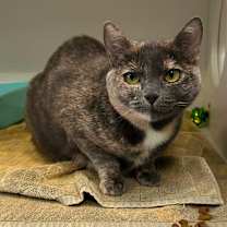 Thumbnail photo of Gracie May #2