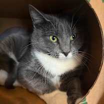 Thumbnail photo of Big Nose George #2