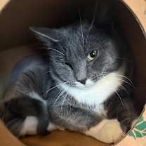 Thumbnail photo of Big Nose George #3