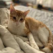 Thumbnail photo of Mason #3