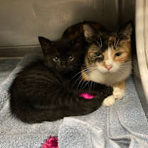 Thumbnail photo of Lillian #2