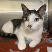 Thumbnail photo of Marty Mcfly  #1