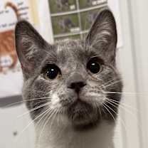 Thumbnail photo of Trevor #1