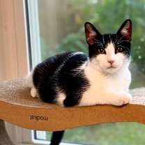 Thumbnail photo of Dale  #1