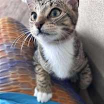 Thumbnail photo of Brady #1