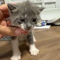 Thumbnail photo of Trevor #2