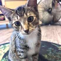 Thumbnail photo of Brady #2