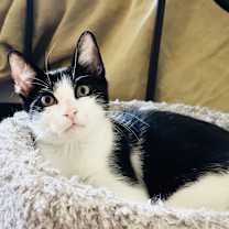 Thumbnail photo of Dale  #2