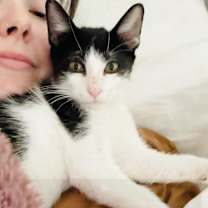 Thumbnail photo of Dale  #3