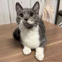 Thumbnail photo of Trevor #3