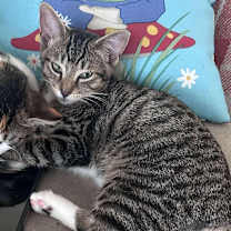 Thumbnail photo of Brady #3