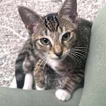 Thumbnail photo of Brady #4