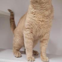 Thumbnail photo of Nyshin #1