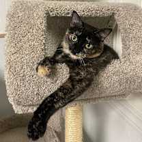 Thumbnail photo of Eureka #1