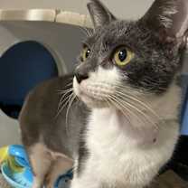 Thumbnail photo of Jenna #2