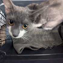 Thumbnail photo of Jenna #3