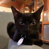 Thumbnail photo of Cronus & Oceanus #2