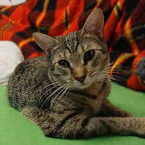 Thumbnail photo of Charmed #2