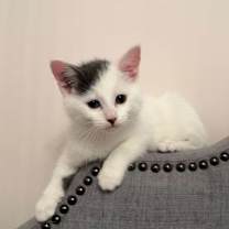 Thumbnail photo of Miranda #1