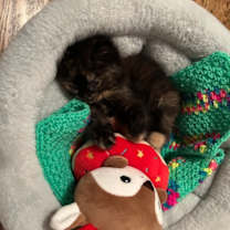 Thumbnail photo of Beatrice #2