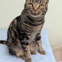 Thumbnail photo of Jill #1