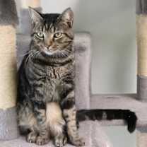 Thumbnail photo of Jill #2