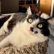 Thumbnail photo of Zene Zander #2