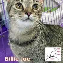 Thumbnail photo of Billy Jo #1