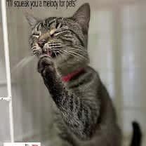 Thumbnail photo of Billy Jo #2