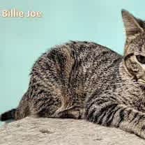 Thumbnail photo of Billy Jo #4