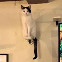 Thumbnail photo of Asya #1