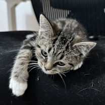 Thumbnail photo of Maude #2