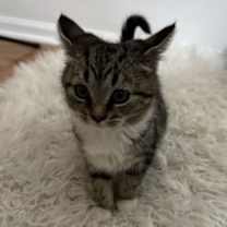 Thumbnail photo of Maude #3