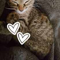 Thumbnail photo of Pearl #1