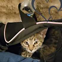 Thumbnail photo of Pearl #2