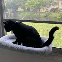 Thumbnail photo of Lucky #4