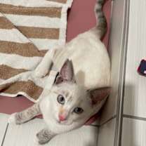 Thumbnail photo of Daphne #1