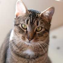 Thumbnail photo of Freckles #1