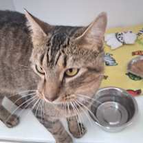 Thumbnail photo of Freckles #2