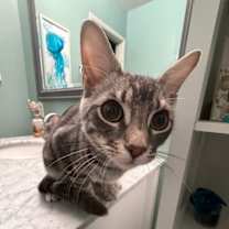 Thumbnail photo of Charlie #1