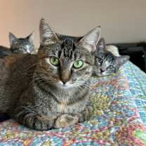 Thumbnail photo of Tina #2