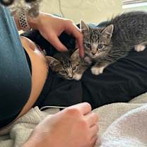 Thumbnail photo of Sage #4