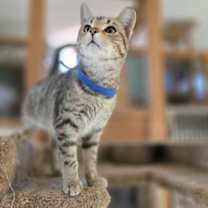 Thumbnail photo of Shady #2