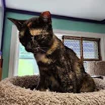 Thumbnail photo of Kasey #1