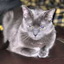 Thumbnail photo of JJ #3