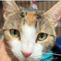 Thumbnail photo of Evie #2