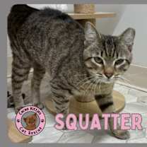 Thumbnail photo of Squatter #1