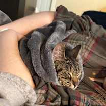 Thumbnail photo of Lana del Gray #2