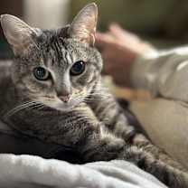 Thumbnail photo of Meredith #1